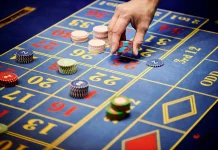How Innovation Is Reshaping the World of Online Slot Gaming